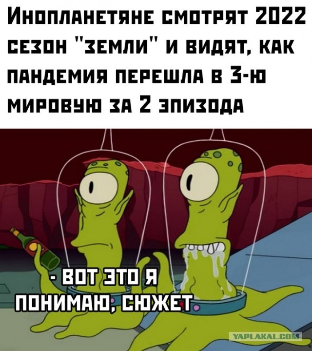 Весёлый полтишок 13.03.22