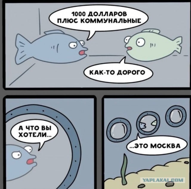 Херсонская область намерена войти в состав России