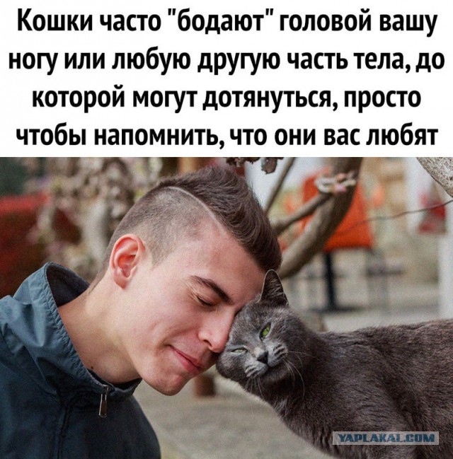 Картинки и мемы для настроения, выходные не за горами