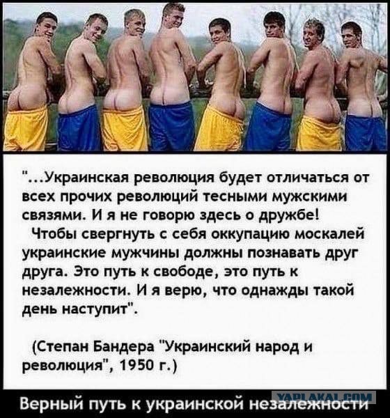 "Бородавочник"  А-10 может оказаться в Украине