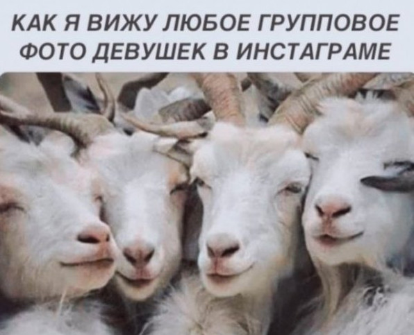 Картинки и мемы, всем хороших выходных