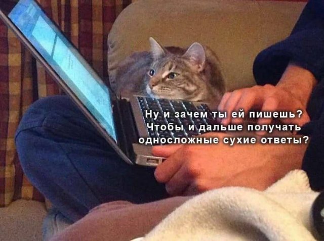 Картинки и мемы для настроения - 123