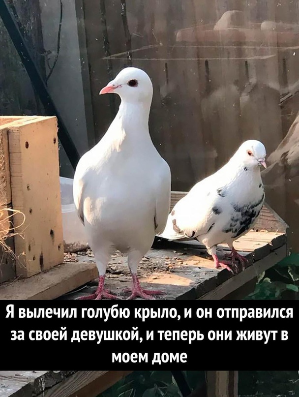 Немного картинок для настроения - 127