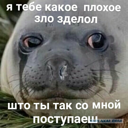 Каспер\Сиськи