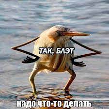 Победная поступь идиотизма по планете – том 6