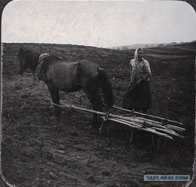 Снимки Захария Захариевича Виноградова. 1910-е. На Волге