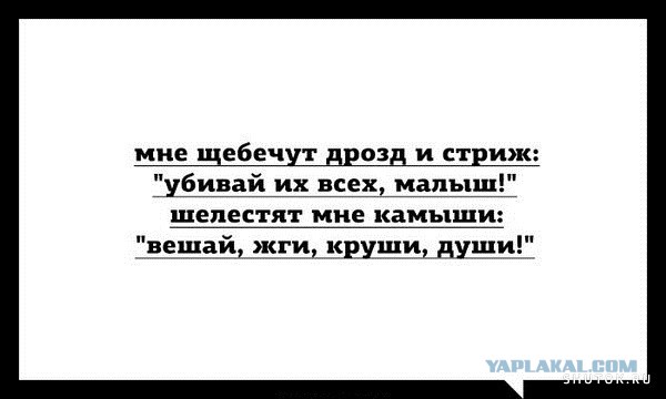 Деградация, чернота, еб@нутый йумор