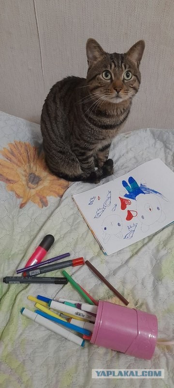 Вот он, герой, и ему ни капли не стыдно