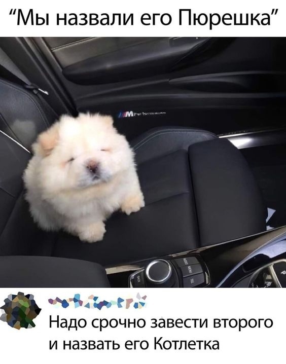 Так себе картинки 11.04.23