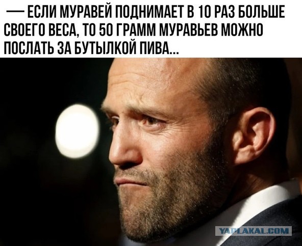 Если наступил на муравейник