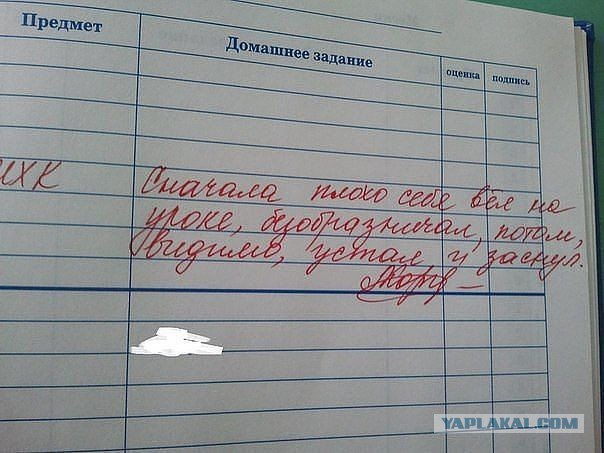 Картинки прикольные домашнее задание, детскими игрушками