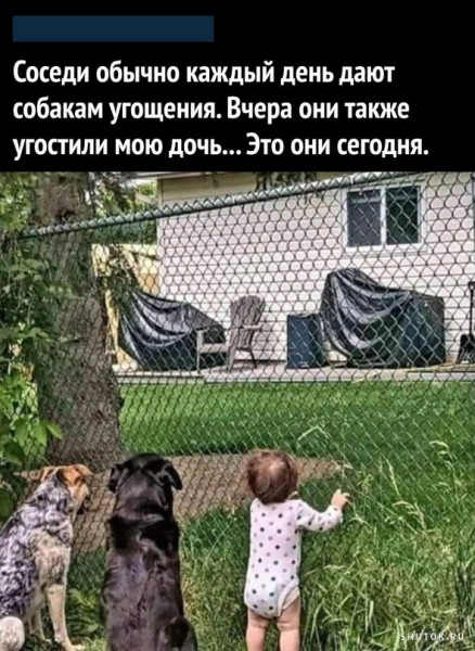 Нуштош 20.09.2023