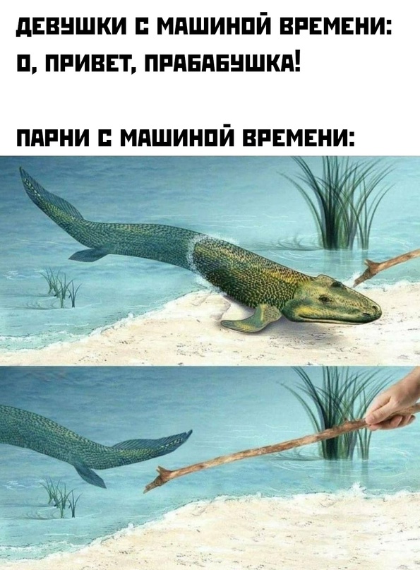 Весёлый полтишок 13.02.24