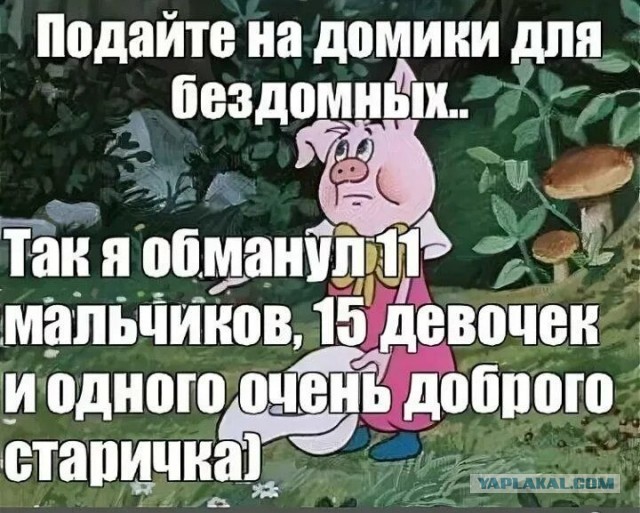 Навка тоже смс отправила?