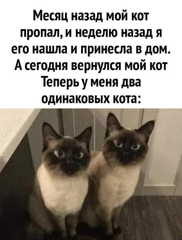 Так себе картинки 29.10.24