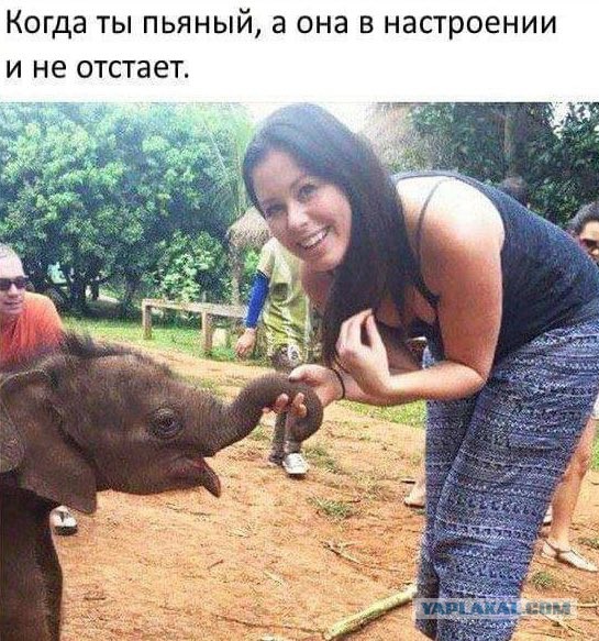 Завалялось тут случайно немного забавных картинок