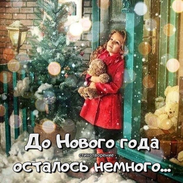 Прикольные и просто красивые картинки 07.01.2025