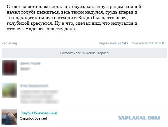 Мужская солидарность