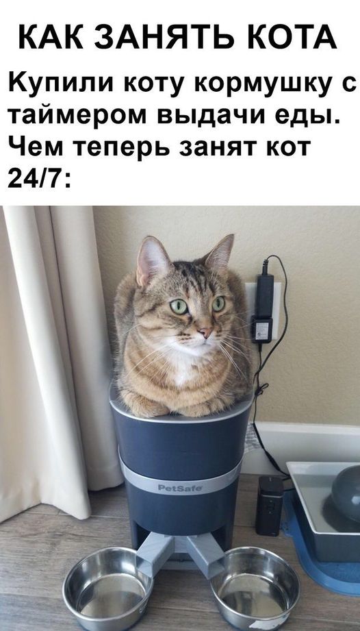 Весёлые картинки 2