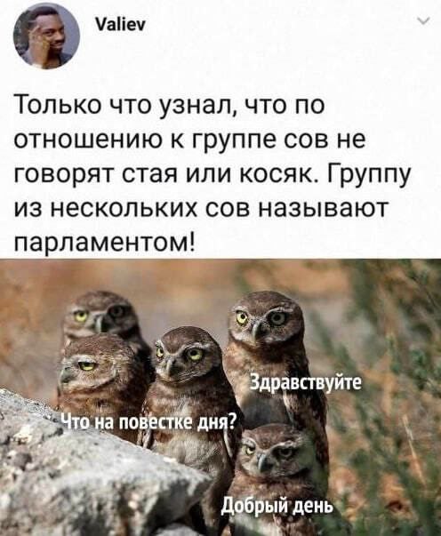 Синоптик предупредил о шторме в Москве 14 марта
