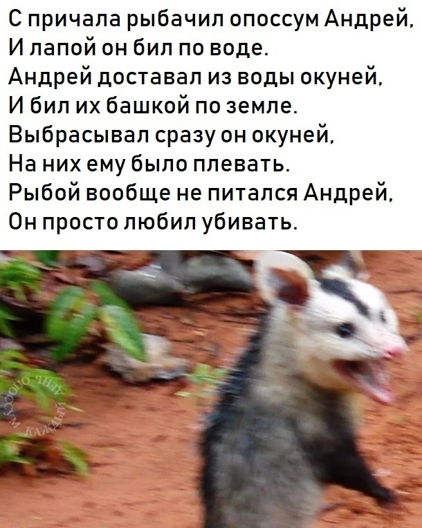 Юмор для тех, кто уже повзрослел и понял, что утренний кофе – это не роскошь, а необходимость