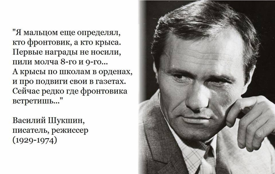 Депутат Бородай рассказал, как некоторые обманом получают статус ветеранов СВО