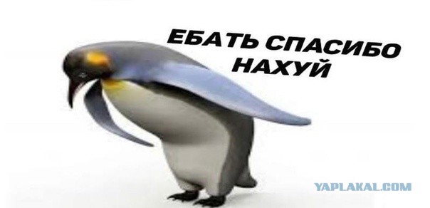 Делегация талибов  на ПМЭФ договорилась ввезти 1000 ценных специалистов в российские регионы