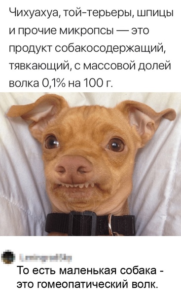 Картинки для деградации 3 (разной степени свежести)