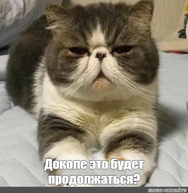 Беспредельщиков из Тогучина приговорили к срокам за вооруженное хулиганство, но освободили в зале суда