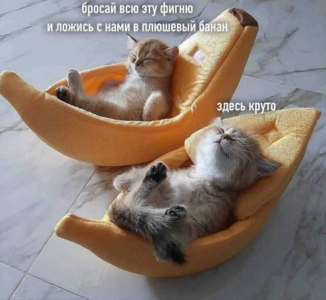 Картинки для деградации 80 (разной степени свжести)