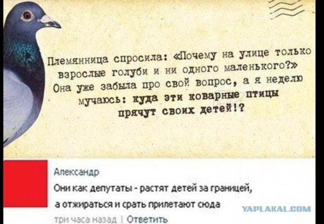Думский комитет снял с рассмотрения законопроект о запрете иностранных счетов для родственников чиновников