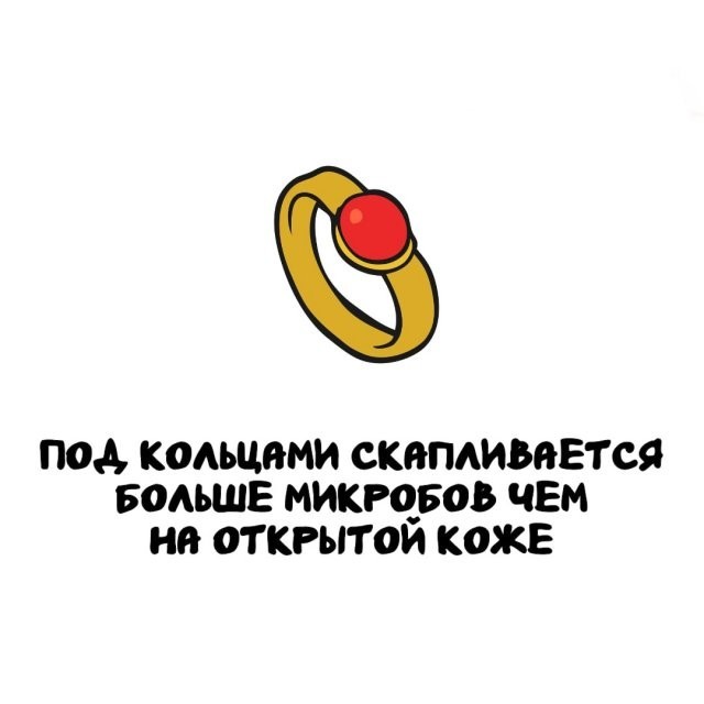 Подборка интересных фактов на все случаи жизни 26.11.25