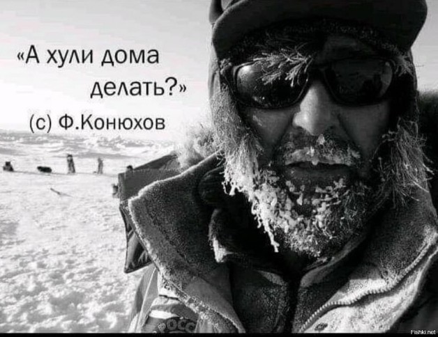 Я в душе родственник этого пингвина
