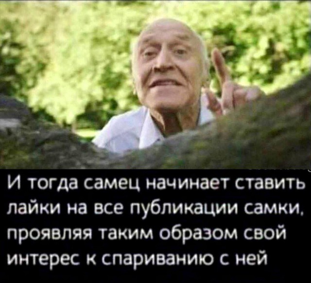 Картинки для деградации 127 (разной степени свежести)