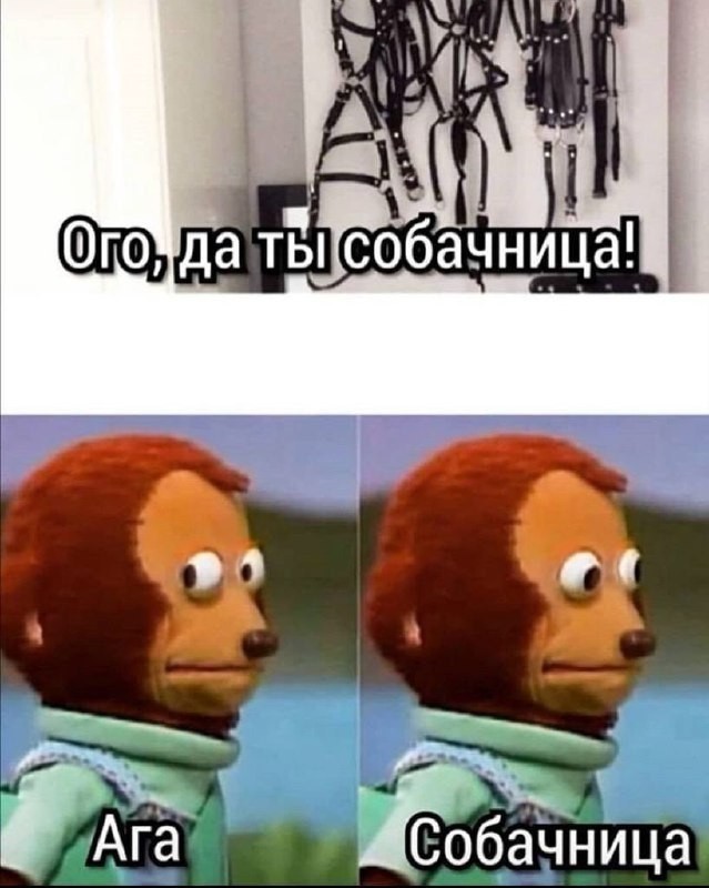 Пошло-баянистая деградация