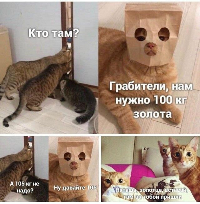 Подборка картинок-баянов с котиками и про котиков. Выпуск 29.