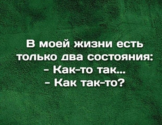 Дегрономикон 15