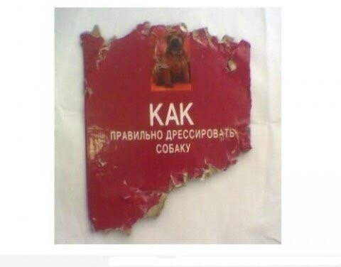 Наташа, я сам не знаю как так вышло.