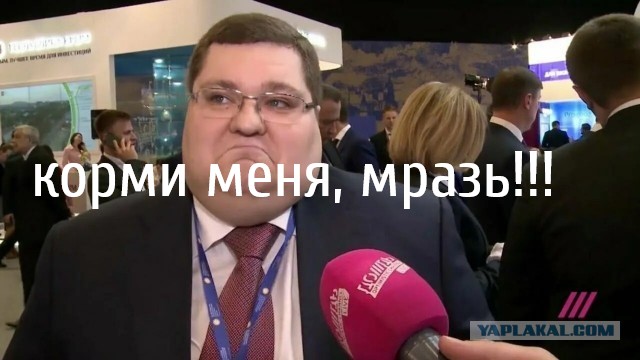 Россиян с ожирением предложили обеспечивать бесплатной едой