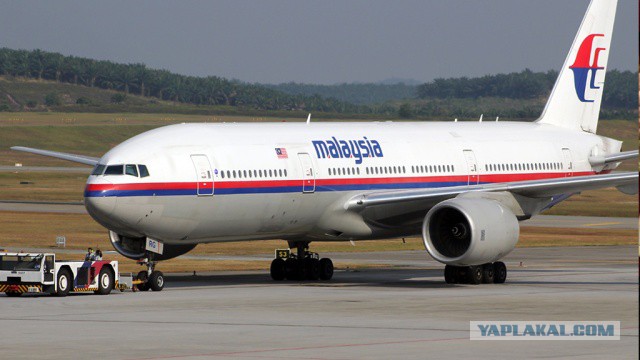 На Украине рухнул Боинг-777 малайзийских авиалиний