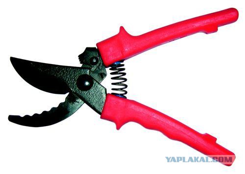 Фрагмент допроса корректировщика