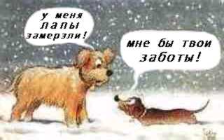 Поднимаем настроение