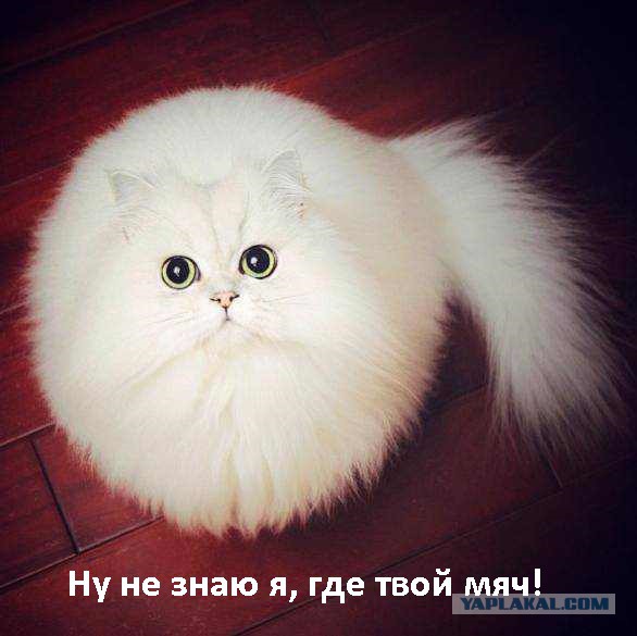 Поднимаем настроение