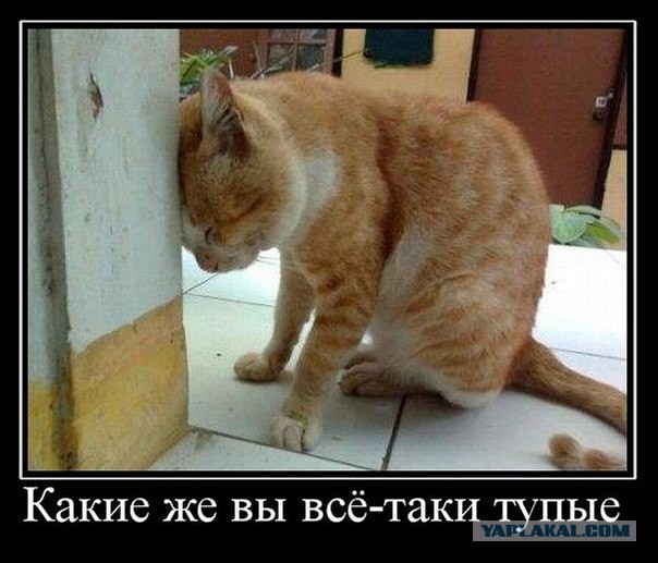Демотиваторов пост, добавляйте свои