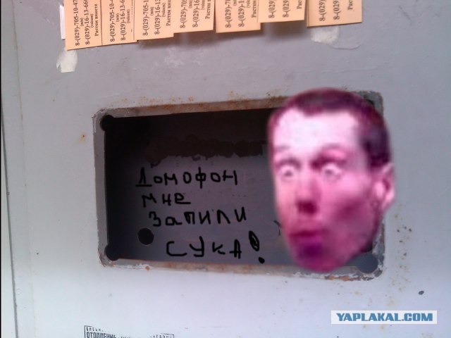 Оригинальный способ обойти домофонную систему