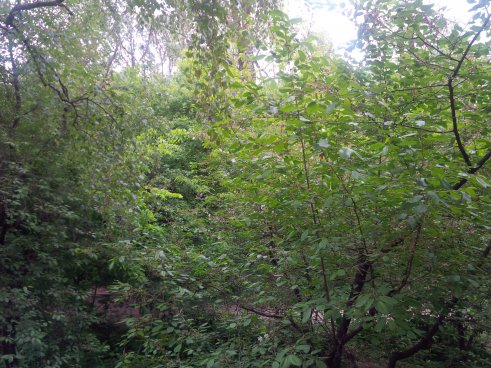 А что у Вас сейчас?