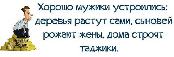 Весёлое из сети
