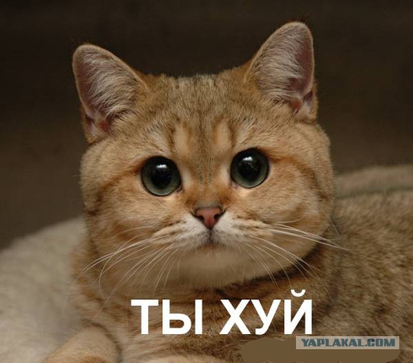 Трезвая Русь