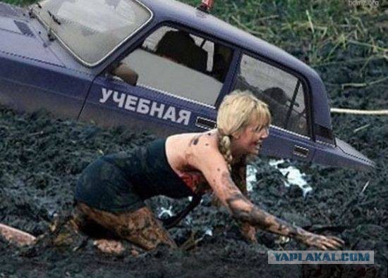 Прикольные картинки из сети