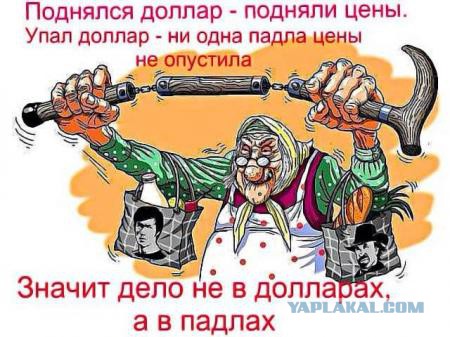 ЦБ РФ повысил на 18 августа курс доллара до 65,5 р